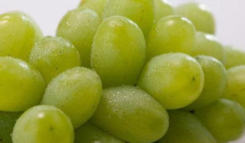 网红提子最新爆料新闻,揭秘娱乐圈惊人内幕