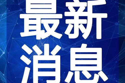 玩车网红爆料视频大全最新,视频大全精彩瞬间大盘点