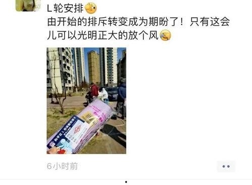 和平区最新爆料消息今天,今日热点事件深度解析