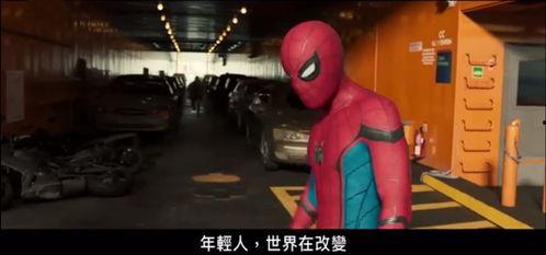 爆炸蜘蛛最新爆料,揭秘神秘生物的惊人真相与未来动向