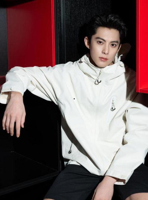 王鹤棣恋情爆料最新情况,神秘女友身份曝光，恋情细节引热议